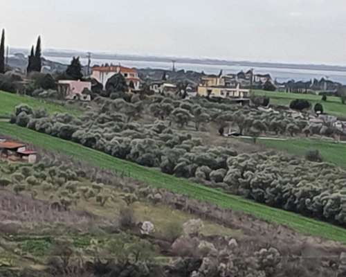φωτογραφία ακινήτου