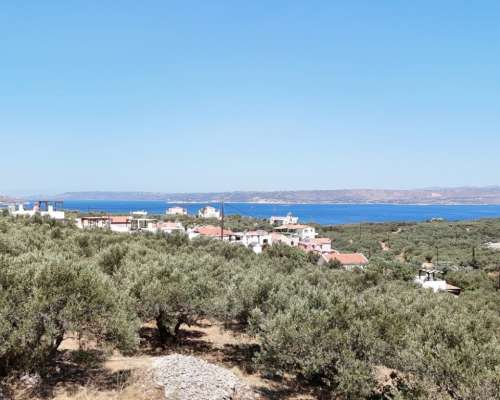 φωτογραφία ακινήτου