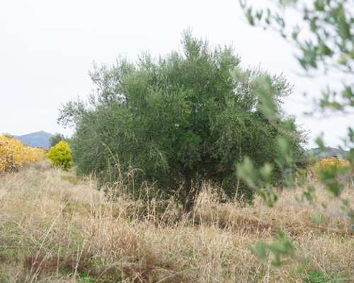 εικόνα ακινήτου
