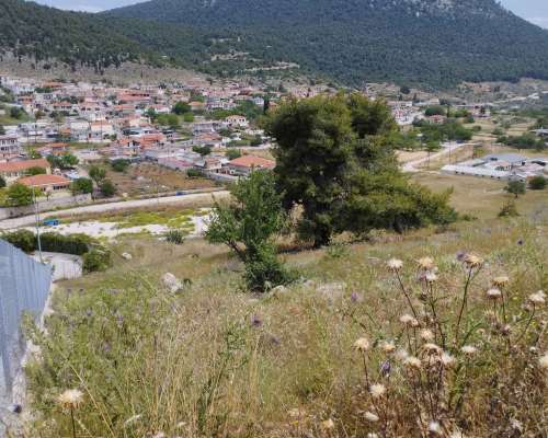 φωτογραφία ακινήτου