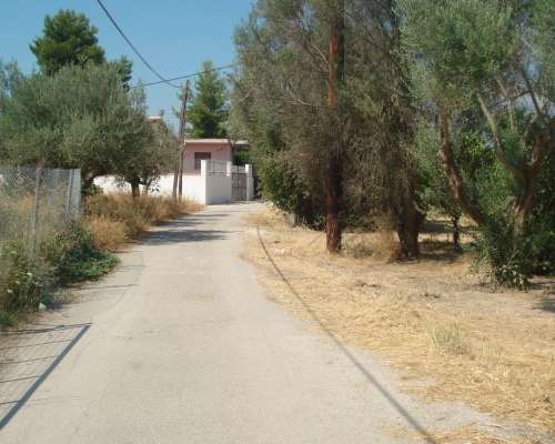 εικόνα ακινήτου