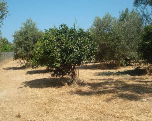 φωτογραφία ακινήτου