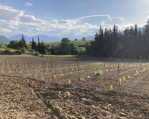 εικόνα ακινήτου