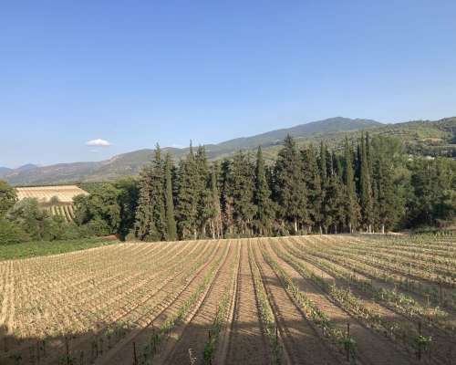 φωτογραφία ακινήτου