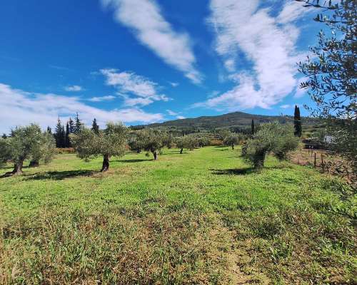 εικόνα ακινήτου