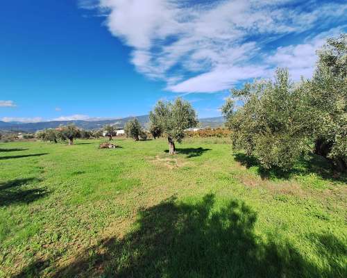 φωτογραφία ακινήτου