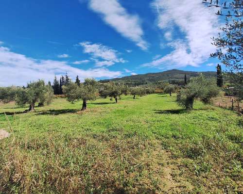 φωτογραφία ακινήτου