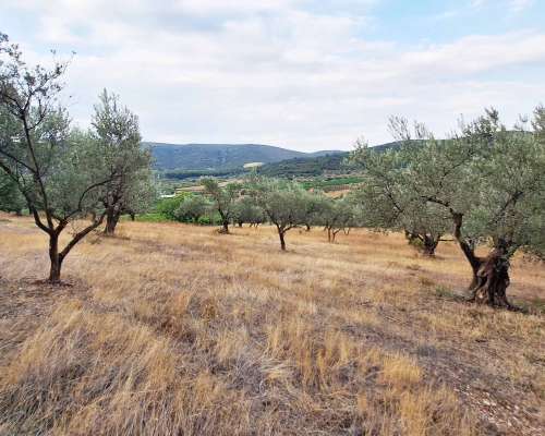 φωτογραφία ακινήτου