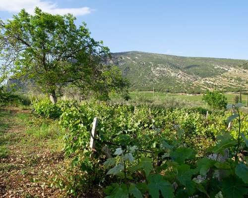 εικόνα ακινήτου