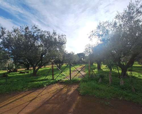 φωτογραφία ακινήτου