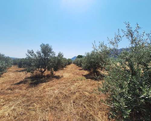 φωτογραφία ακινήτου