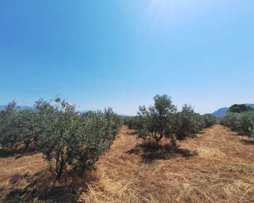 φωτογραφία ακινήτου