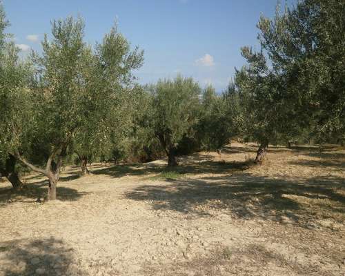 φωτογραφία ακινήτου