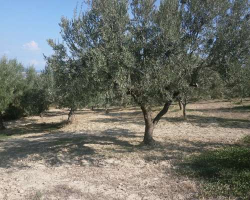 φωτογραφία ακινήτου