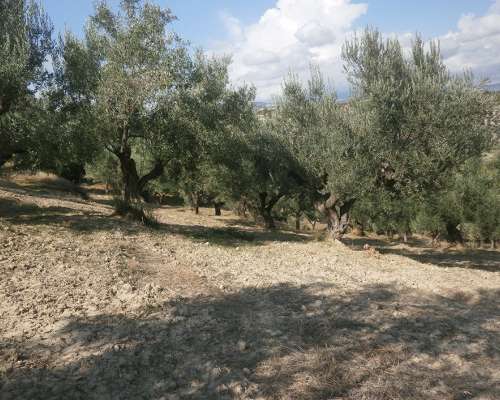 φωτογραφία ακινήτου