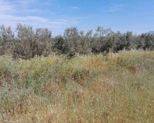 εικόνα ακινήτου