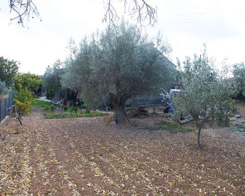 εικόνα ακινήτου