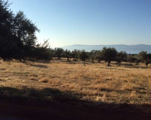 φωτογραφία ακινήτου