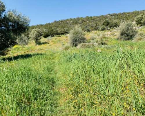 φωτογραφία ακινήτου