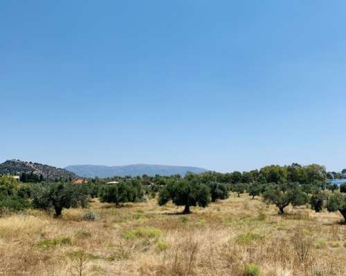 φωτογραφία ακινήτου