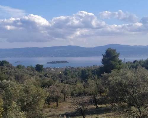 φωτογραφία ακινήτου