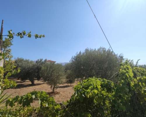 εικόνα ακινήτου