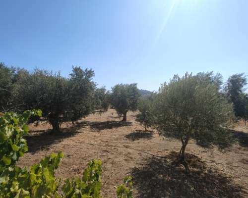 φωτογραφία ακινήτου