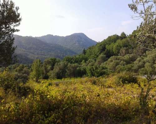 φωτογραφία ακινήτου