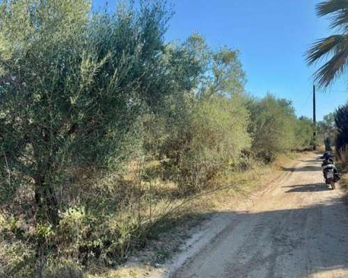 φωτογραφία ακινήτου