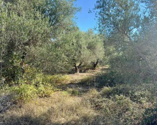 φωτογραφία ακινήτου