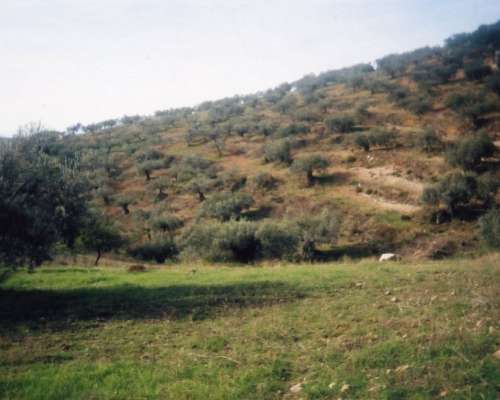 εικόνα ακινήτου