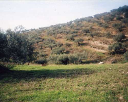 φωτογραφία ακινήτου
