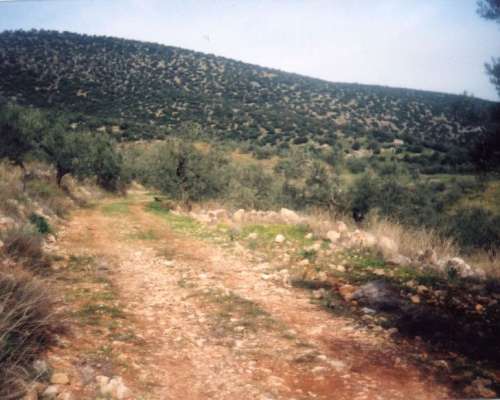 φωτογραφία ακινήτου
