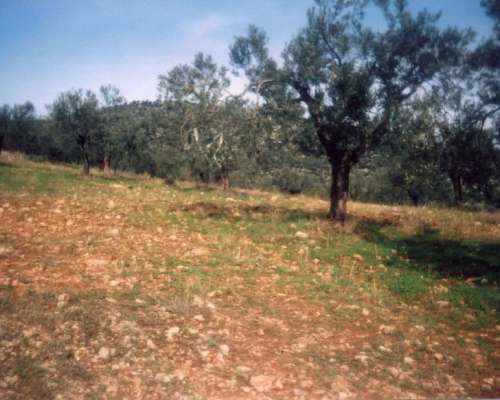 φωτογραφία ακινήτου