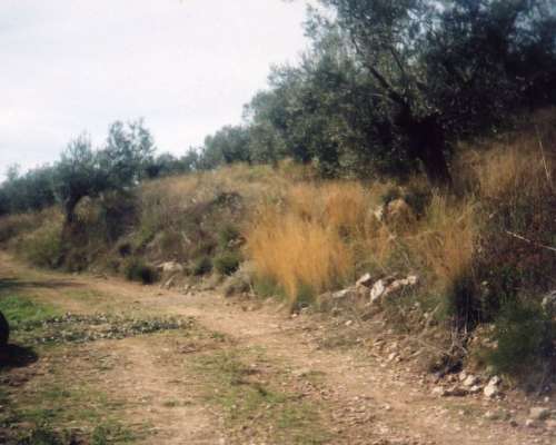 φωτογραφία ακινήτου