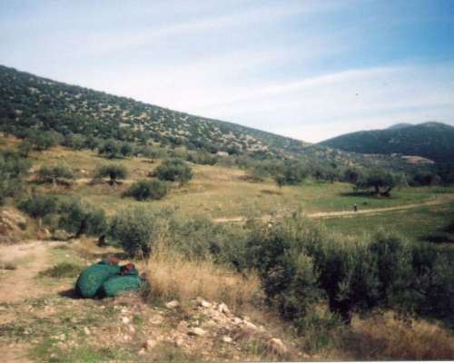 φωτογραφία ακινήτου