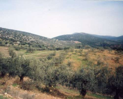 φωτογραφία ακινήτου