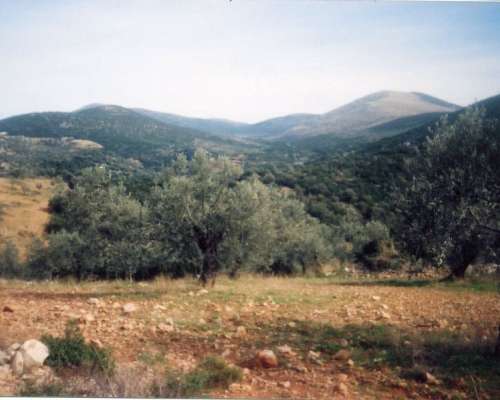 φωτογραφία ακινήτου