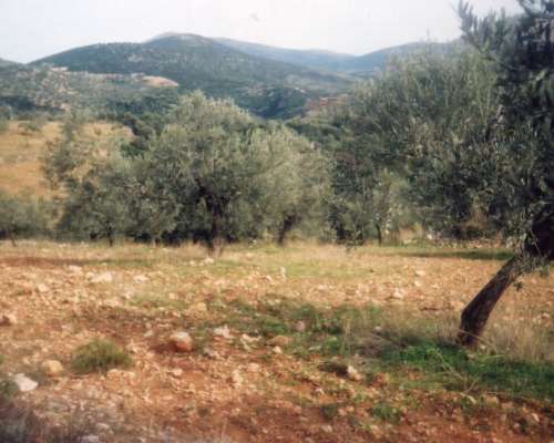 φωτογραφία ακινήτου