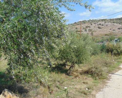 φωτογραφία ακινήτου