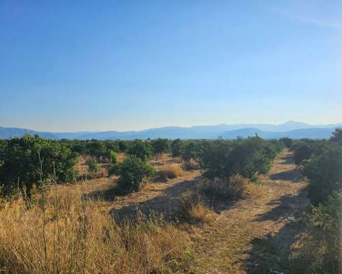 φωτογραφία ακινήτου