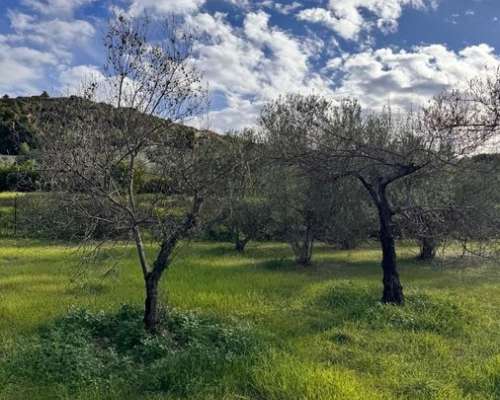 φωτογραφία ακινήτου