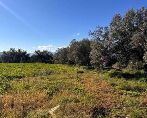 φωτογραφία ακινήτου