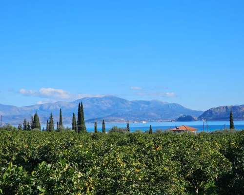 εικόνα ακινήτου