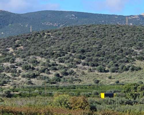 φωτογραφία ακινήτου