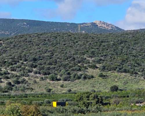 φωτογραφία ακινήτου