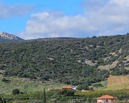 φωτογραφία ακινήτου