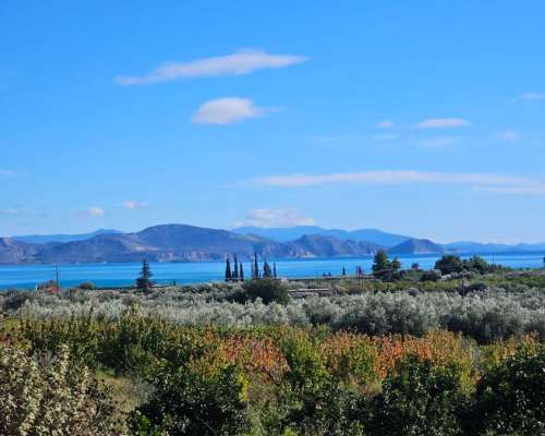 φωτογραφία ακινήτου