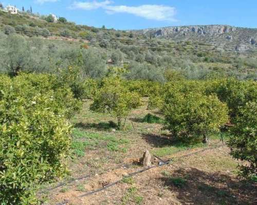 φωτογραφία ακινήτου