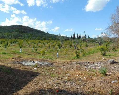 φωτογραφία ακινήτου